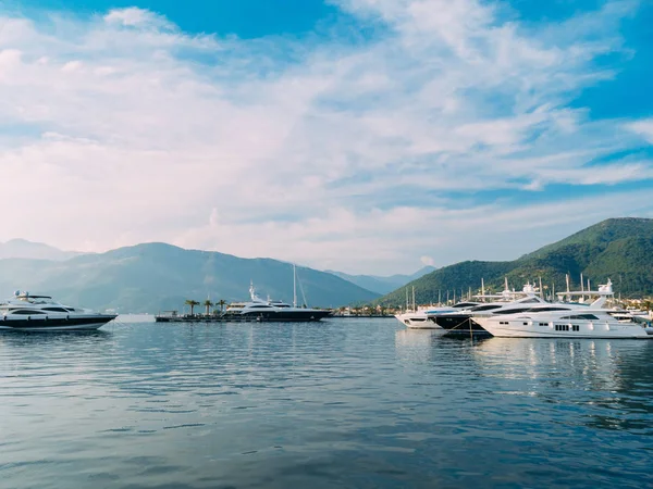 Iate Porto Montenegro. Área de elite de Tivat — Fotografia de Stock