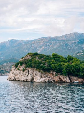 Rock kraliçesi, Sveti Stefa Adası yakınlarında denize yakın