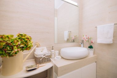 Banyo lavabo. Banyoda sıhhi tesisat. Interio