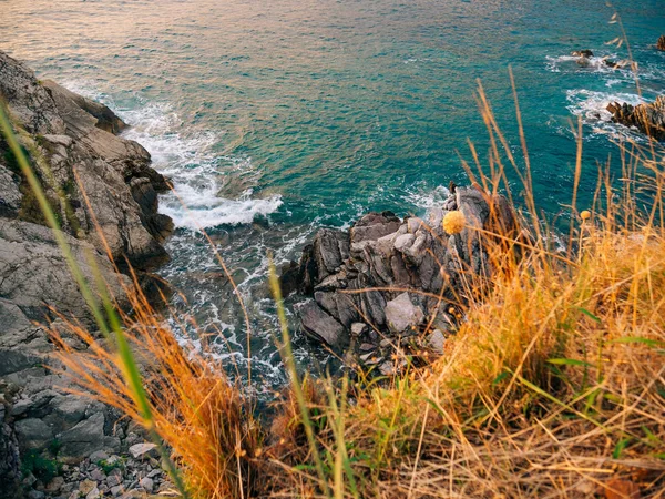 Pedras no mar em Montenegro. Costa rochosa. Praia selvagem. Dangero. — Fotografia de Stock