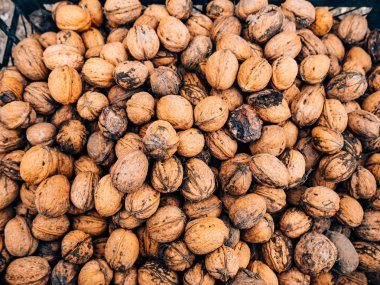 Birçok ceviz. Bir kutu içinde fındık