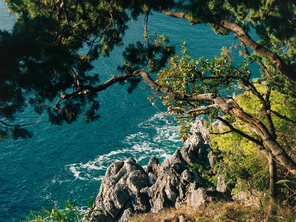 Pedras no mar em Montenegro. Costa rochosa. Praia selvagem. Dangero. — Fotografia de Stock