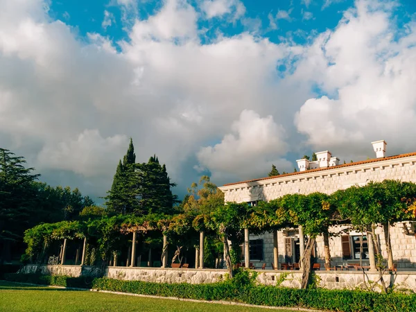 El parque Milocer, Villa, playa Reina. Cerca de la isla de Sveti Stefan en Montenegro . — Foto de Stock