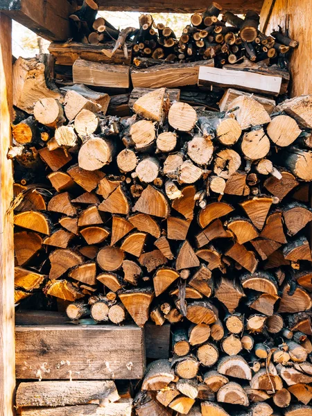 Log pohon. The menggergaji kayu — Stok Foto