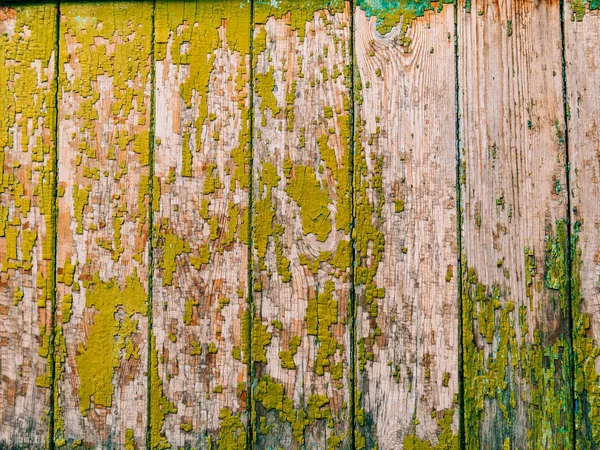 녹색 문입니다. 나무 텍스처입니다. 오래 된 허름한, 비친 페인트 — 스톡 사진