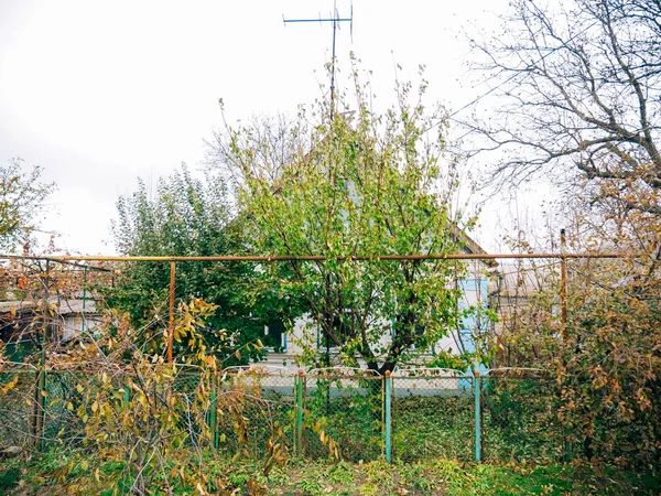 Maison dans le village ukrainien — Photo