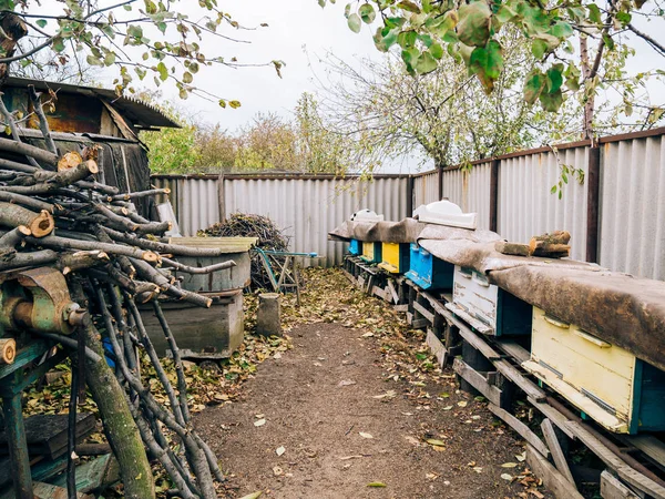 Honey bee hives — Stock Photo, Image