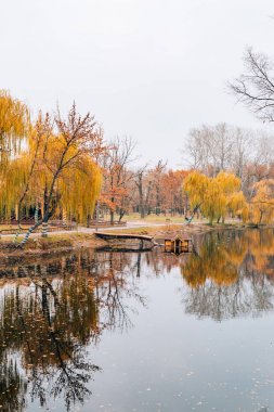 Sonbahar Gölü. Sonbaharın sarı yaprakları
