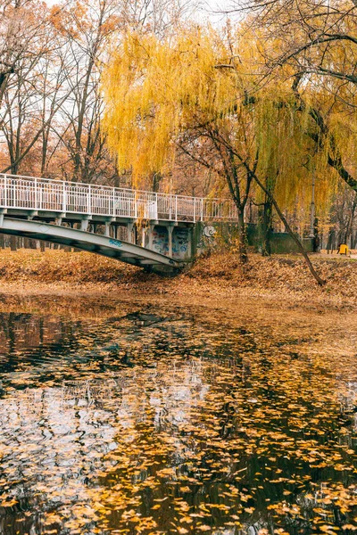 Осеннее озеро. Желтая листва осенью — стоковое фото
