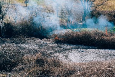 Ormanda öğleden sonra ateş. Arnavut orman n yanıyor