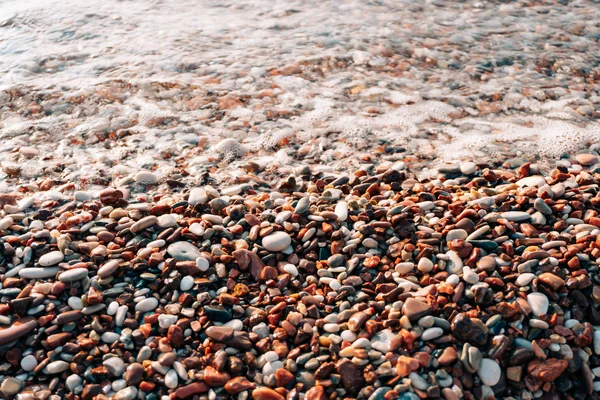 Guijarros en la playa. Textura de la orilla del mar. El mar Adriático — Foto de Stock
