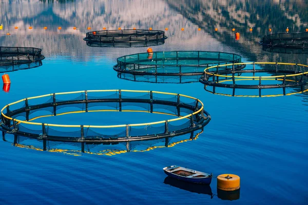 Ferme piscicole au Monténégro. La ferme d'élevage et de pisciculture — Photo