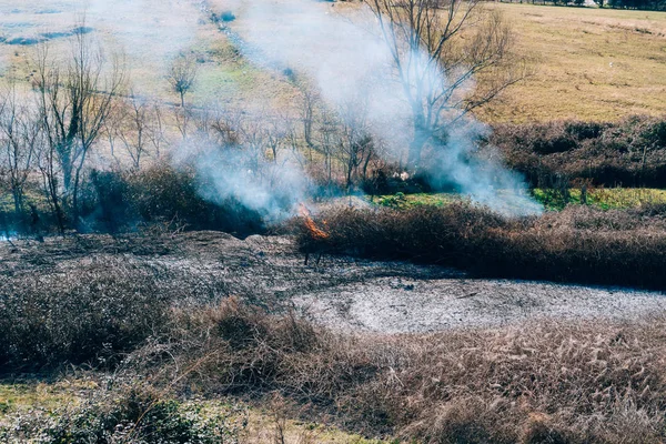 Fire in the woods in the afternoon. Albanian forest is burning n — Stock Photo, Image