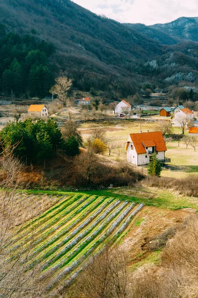 Ház a hegyek közelében a mezőket. Aga Cetinje, Montenegró, — Stock Fotó