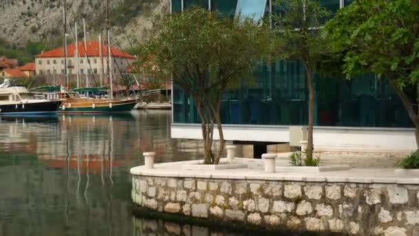 Café en el agua. Café en la Bahía de Kotor, Kotor, Montenegro — Vídeo de stock