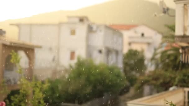 Floraison de bougainvilliers au Monténégro, dans les Balkans, dans l'Ad — Video