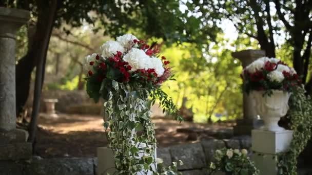 De bloemen van de Hortensia in een pot. Huwelijksdecoratie in Montenegro — Stockvideo