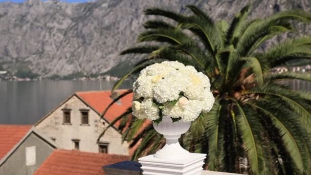 Hydrangea blommor i kruka. Bröllop dekorationer i Montenegro — Stockvideo