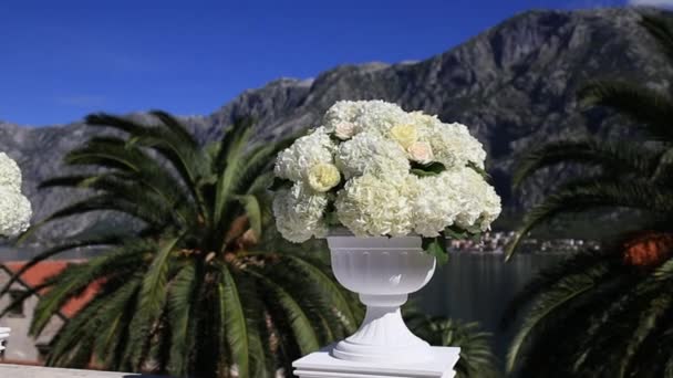 Hydrangea flowers in a pot. Wedding decorations in Montenegro — Stock Video