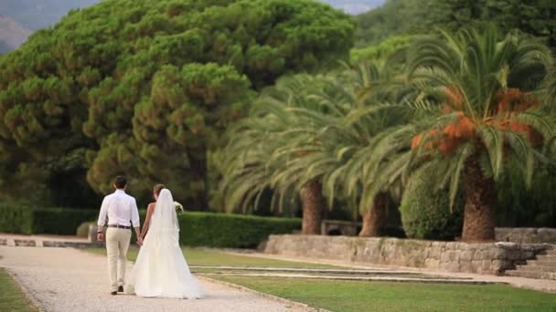 Yeni evliler nea Karadağ, Milocer park içinde yürüyor — Stok video