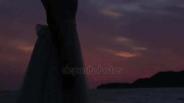 Silueta de los recién casados contra el cielo al atardecer. Boda i — Vídeo de stock