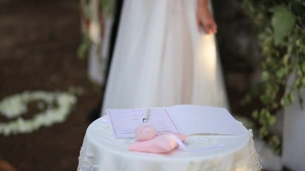 花嫁が結婚式に署名を置く — ストック動画