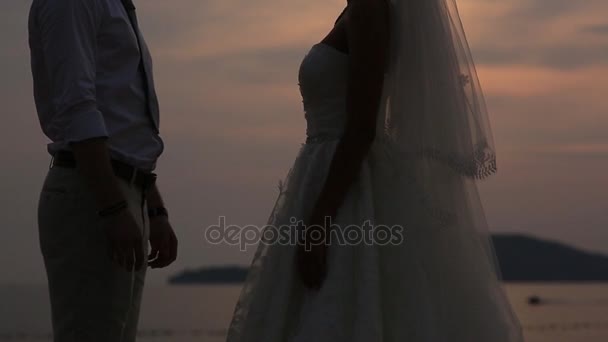 Silhouet van de pasgetrouwden tegen de hemel bij zonsondergang. Bruiloft ik — Stockvideo