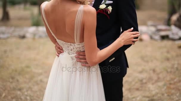 The bride is hugging the groom. Wedding Montenegro — Stock Video