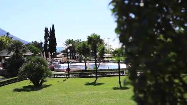 Pool under palm trees in the hotel. Hotel on the coast of Budva, — Stock Video