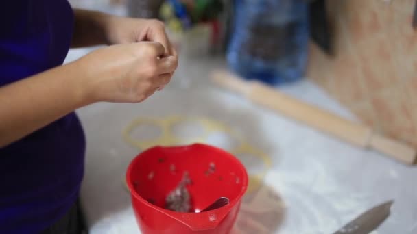 彼女は台所で餃子を sculpts します。調理食品. — ストック動画