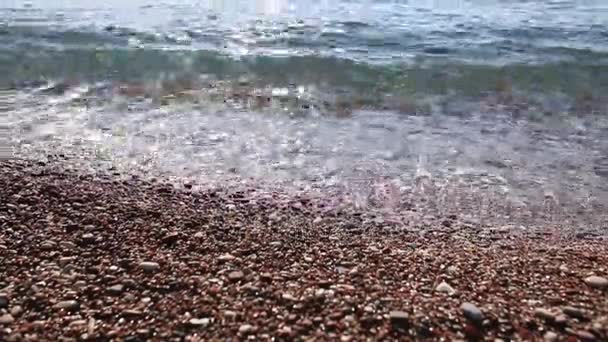 Guijarros en la playa. Textura de la orilla del mar. El mar Adriático — Vídeo de stock