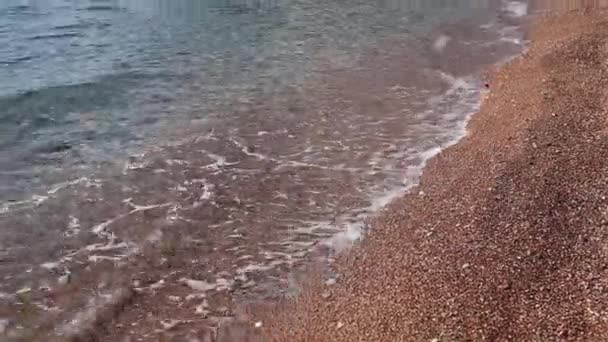 Guijarros en la playa. Textura de la orilla del mar. El mar Adriático — Vídeo de stock