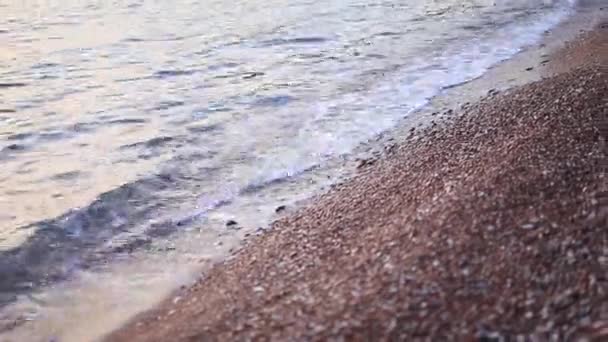 Guijarros en la playa. Textura de la orilla del mar. El mar Adriático — Vídeos de Stock