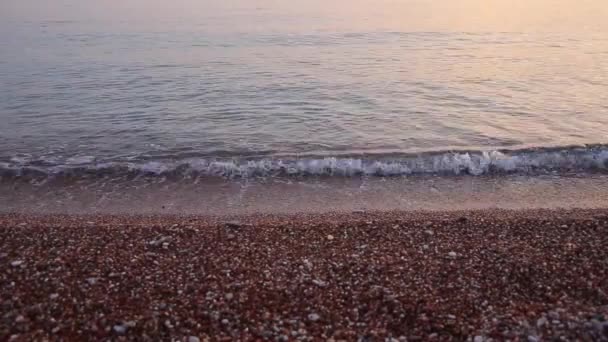 在海滩上的鹅卵石。海边的纹理。亚德里亚海 — 图库视频影像
