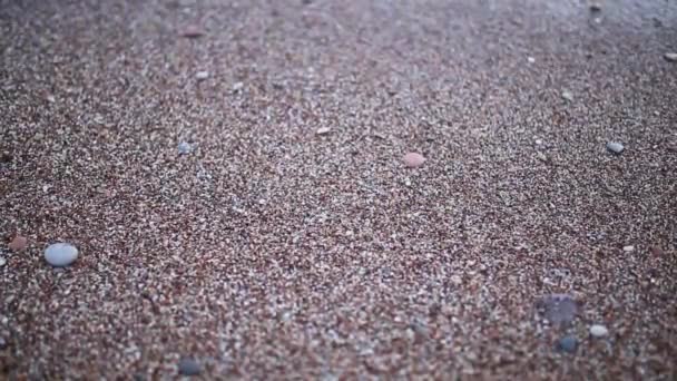 Des cailloux sur la plage. Texture du bord de mer. La mer Adriatique — Video