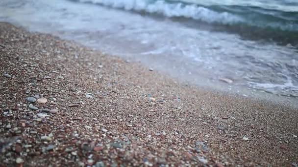 Pedrinhas na praia. Textura da costa marítima. Mar Adriático — Vídeo de Stock