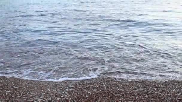 Guijarros en la playa. Textura de la orilla del mar. El mar Adriático — Vídeo de stock