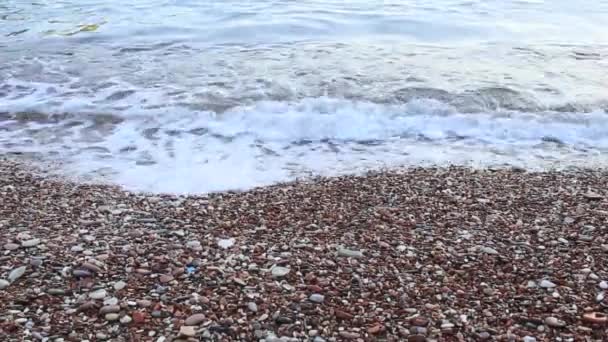 Guijarros en la playa. Textura de la orilla del mar. El mar Adriático — Vídeos de Stock