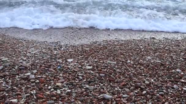 Pedrinhas na praia. Textura da costa marítima. Mar Adriático — Vídeo de Stock
