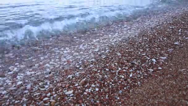 Ciottoli sulla spiaggia. Texture della riva del mare. Mare Adriatico — Video Stock