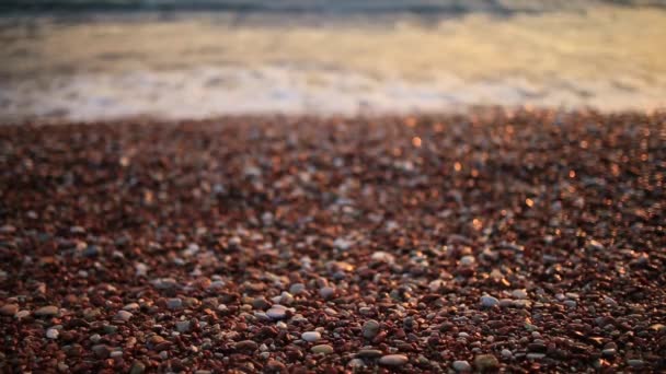 Guijarros en la playa. Textura de la orilla del mar. El mar Adriático — Vídeos de Stock