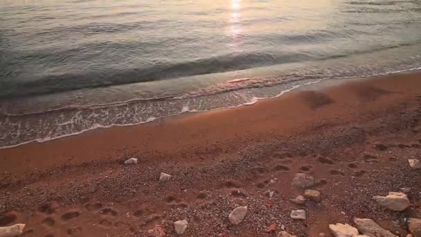 Guijarros en la playa. Textura de la orilla del mar. El mar Adriático — Vídeos de Stock