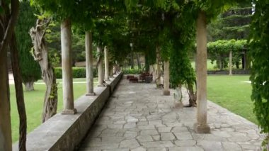 Villa Milocer, wisteria ağaçların altında restoranda t