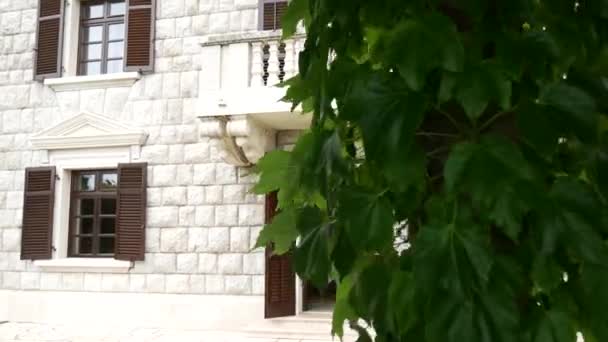 Het park Milocer, Villa, strand koningin. In de buurt van het eiland Sveti Stefan — Stockvideo