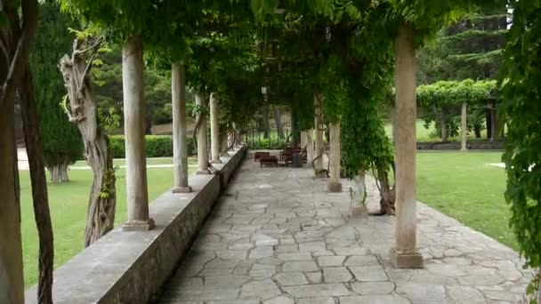 Το εστιατόριο του Villa Milocer, κάτω από τα δέντρα wisteria, t — Αρχείο Βίντεο