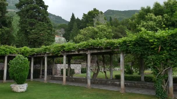 Az étterem a Villa Miločer, a wisteria fák alatt, t — Stock videók