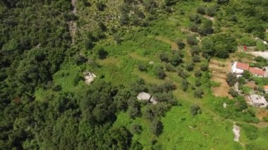 Bir iskele ve Petrovac kasaba kıyı konut evleri ile şehir kumlu plaj. Havadan görünümü