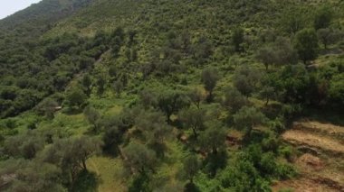 Karadağ'daki Satılık Arsa. Otel deniz kenarında. Prcan şehir