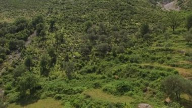 Karadağ'daki Satılık Arsa. Otel deniz kenarında. Prcan şehir