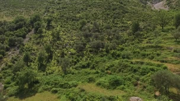 Terreno in vendita in Montenegro. Hotel vicino al mare. La città di Prcan — Video Stock